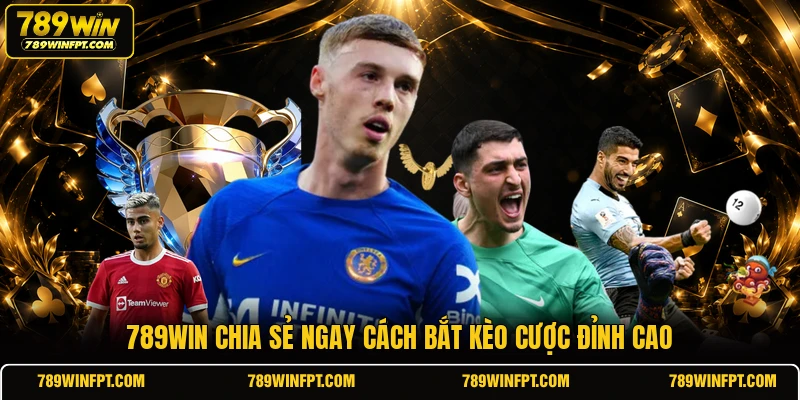 789win chia sẻ ngay cách bắt kèo cược đỉnh cao