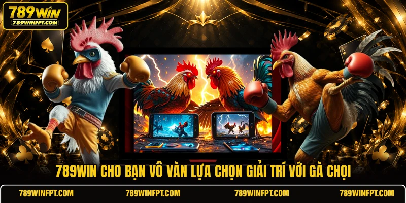789WIN cho bạn vô vàn lựa chọn giải trí với gà chọi