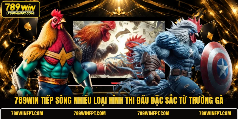 789WIN tiếp sóng nhiều loại hình thi đấu đặc sắc từ trường gà