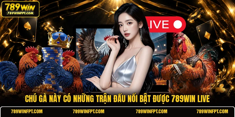 Chú gà này có những trận đấu nổi bật được 789WIN live