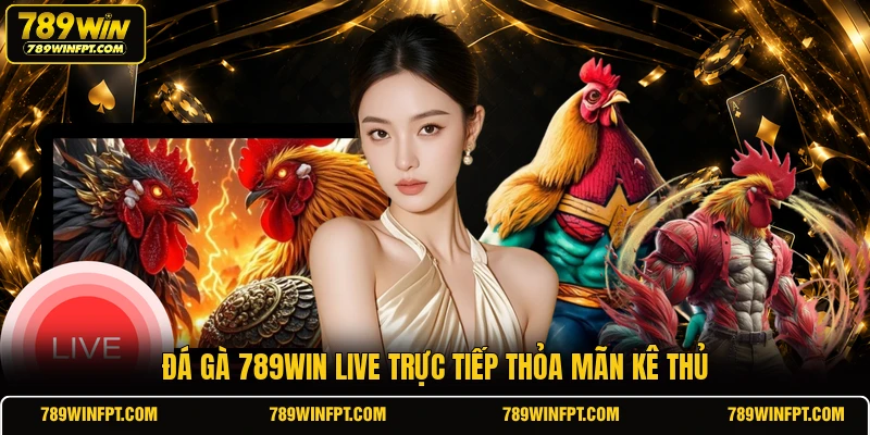 Đá gà 789WIN live trực tiếp thỏa mãn kê thủ