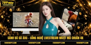 Sảnh Đá Gà AOG - Công Nghệ Livestream Mượt Mà Chuẩn 4K